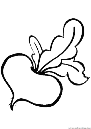 Репка для раскрашивания для детей