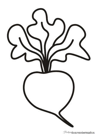 Редис раскраска