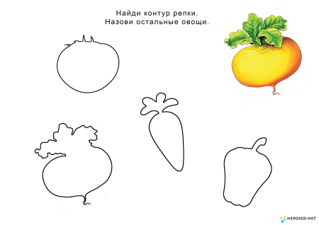 Редиска раскраска для детей