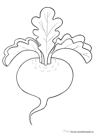 Раскраска. Репка