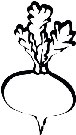 Овощи раскраска для детей репа