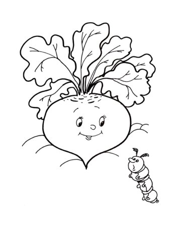 Свекла раскраска для детей