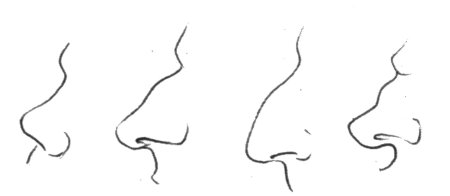 Типы Носов с горбинкой