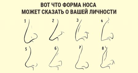 Физиогномика формы Носов