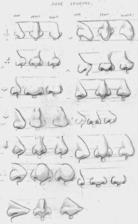 Формы носа для рисования