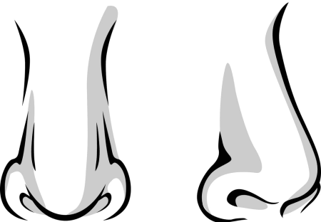 Векторный нос