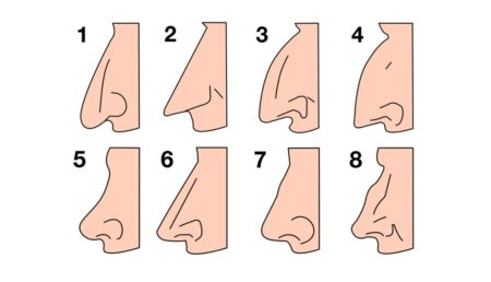 Формы Носов