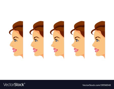 Профиль носа и Национальность