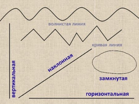 Какие бывают линии
