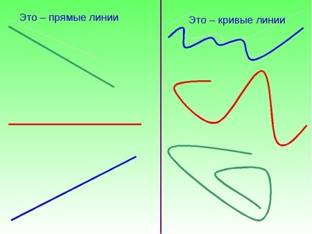 Прямые и кривые линии для дошкольников
