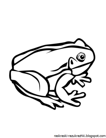 Лягушка раскраска