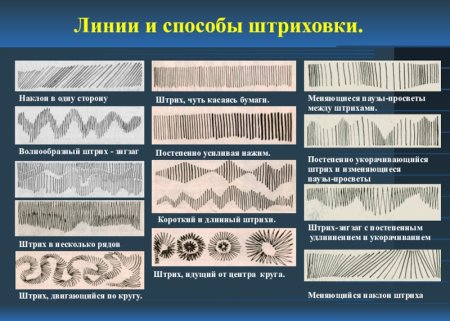 Виды линий в рисунке