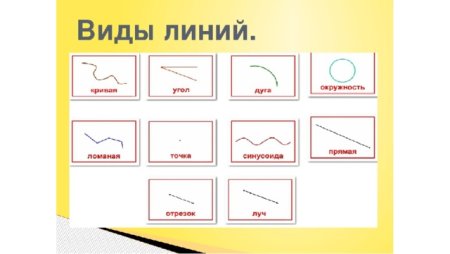 Линии виды линий