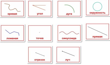 Точка кривая линия прямая линия отрезок Луч карточка