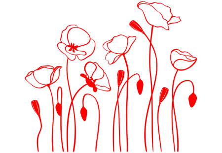 Маки контур