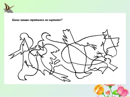 Зимующие птицы задания для дошкольников логопед