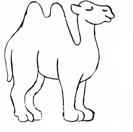 Контуры животных для детей