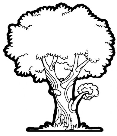 Дуб рисунок