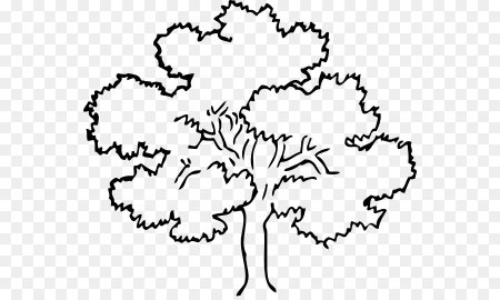 Дуб рисунок для детей