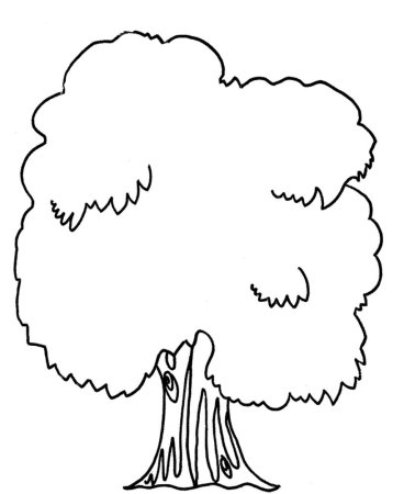 Дуб раскраска