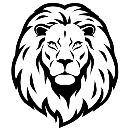 Женское лицо Графика