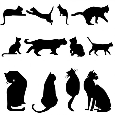 Силуэт женского тела