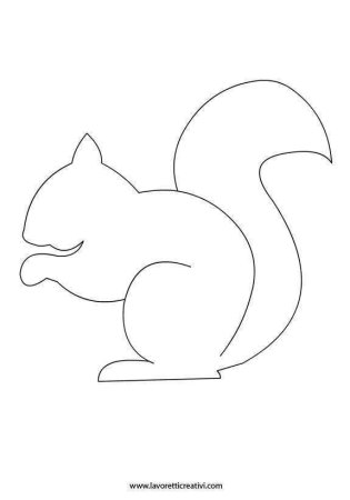 Белка контур