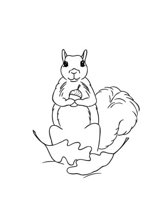 Раскраска орешки для белочки для детей