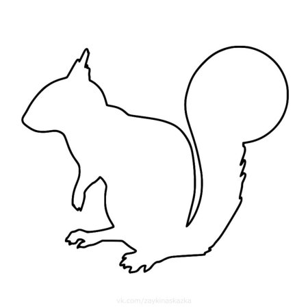 Раскраска Белочка для детей 2-3 лет