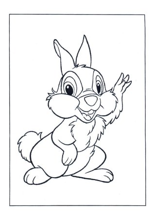 Раскраска Белочка