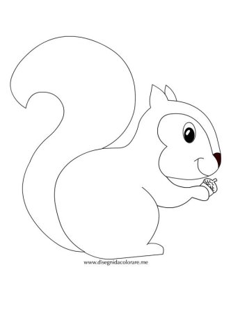 Раскраска Белочка мультяшная