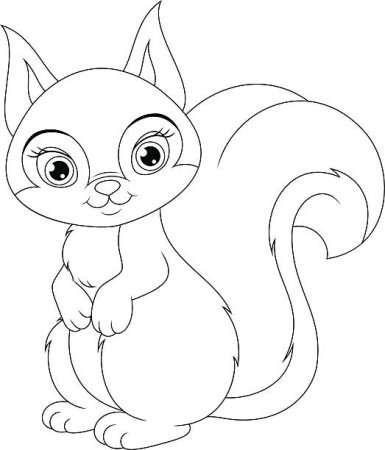 Белочка рисунок для детей раскраска