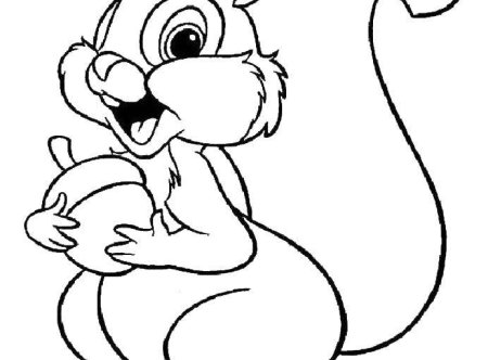 Раскраска Белочка