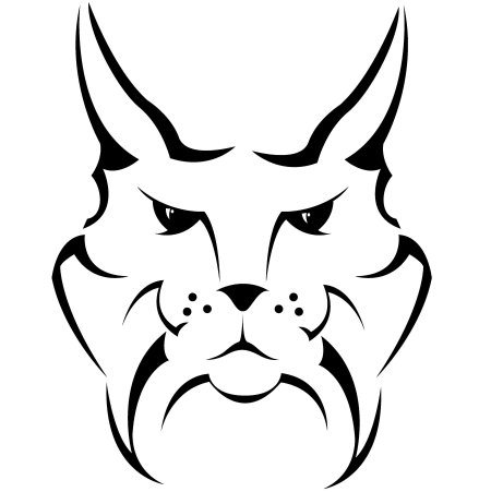 Рысь раскраска для детей