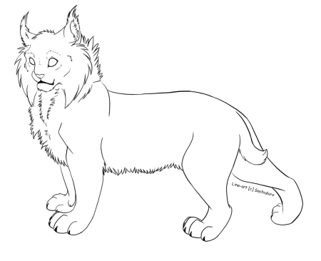 Рысь раскраска для детей