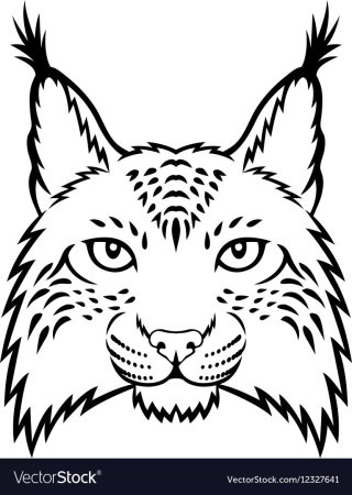 Трафарет рыси для раскрашивания