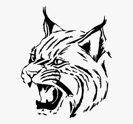 Рысь обыкновенная раскраска