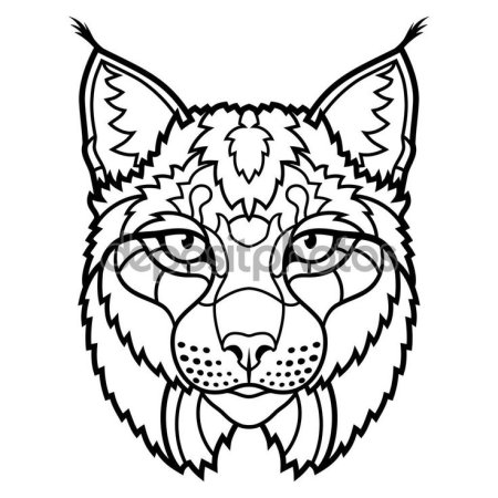 Рысь рисунок раскраска