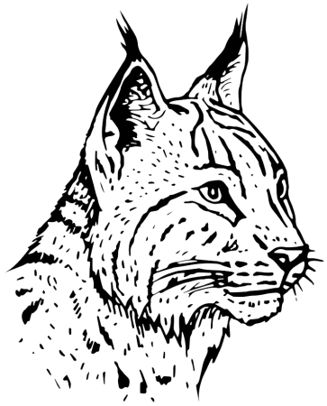 Рисунки для выжигания по дереву Рысь