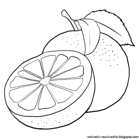 Апельсин раскраска для детей
