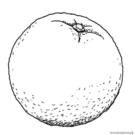 Апельсин раскраска для детей