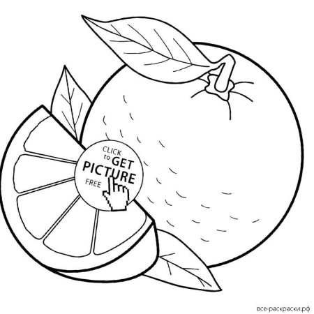Раскраска фрукты апельсин