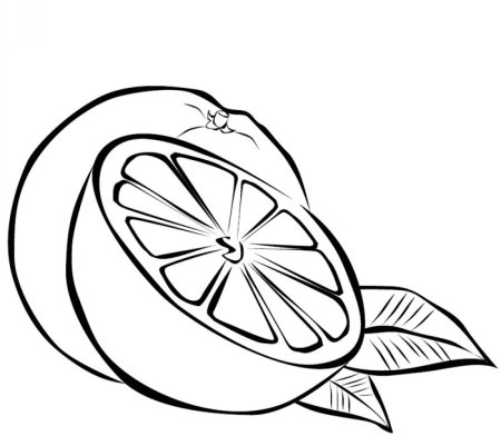 Мандарин раскраска для детей