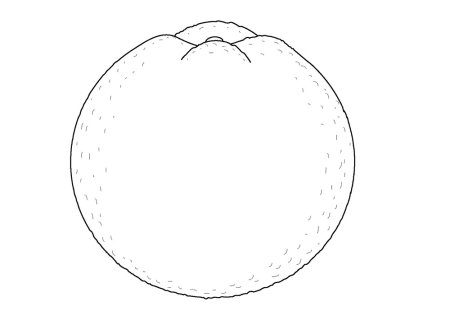 Долька апельсина раскраска