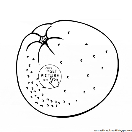 Апельсин эскиз