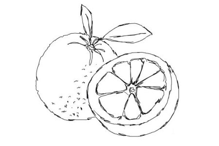Лимон на тарелке раскраска