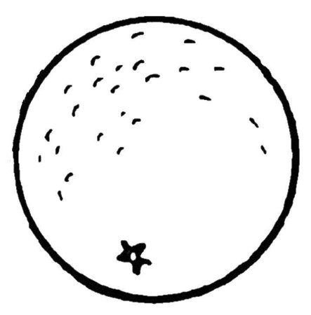 Шаблон апельсина для рисования