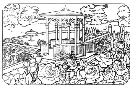 Сады. Раскраска