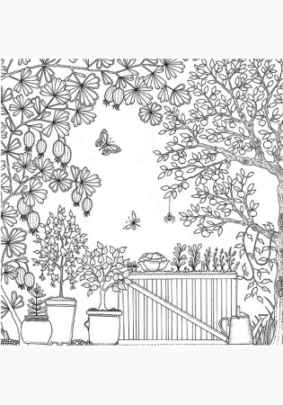 Сады. Раскраска