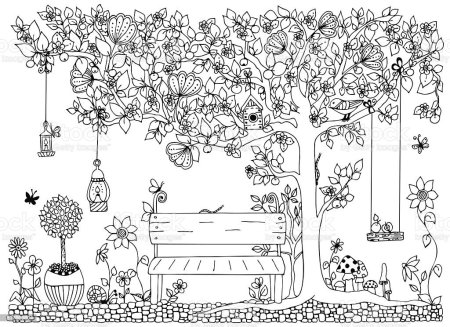 Сады. Раскраска